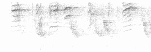 Çam Baştankarası - ML619521437
