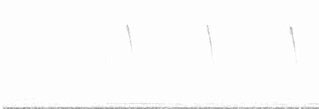 棕扇尾鶯 - ML619521441