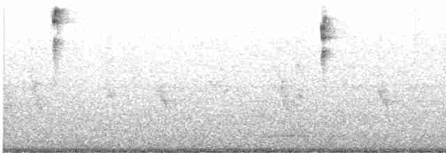 strnadec zpěvný (ssp. melodia/atlantica) - ML619521480