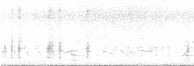 Great Reed Warbler - ML619521485