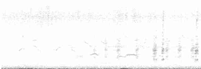 Great Reed Warbler - ML619521486