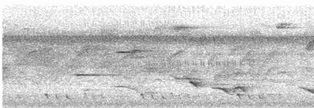Бордовая иволга - ML619521506