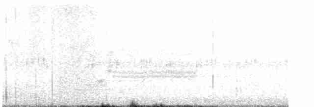 vlhovec červenokřídlý - ML619521663