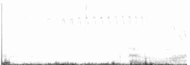 strakapoud osikový - ML619521691