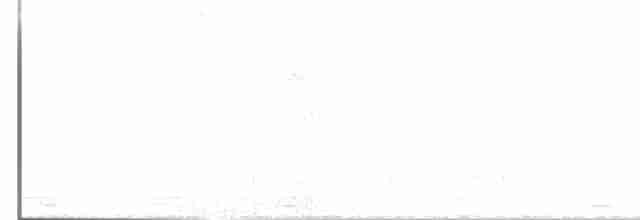 Чернобрюхий крапивник - ML619521783