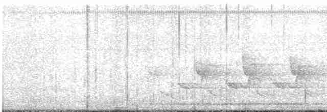 Каролинский крапивник - ML619521792