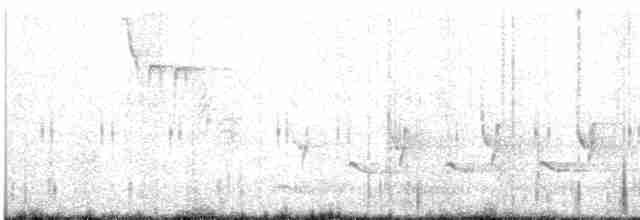 Каролинский крапивник - ML619521794