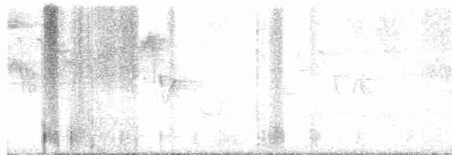 svarthetteparula - ML619521930