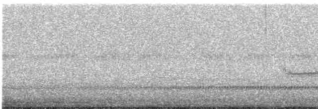 Kara Karınlı Kumkuşu - ML619522138
