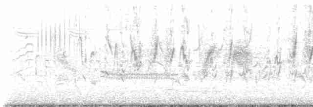 סנונית רפתות - ML619522213
