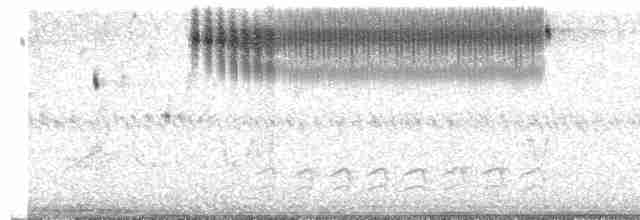 Çekirge Sesli Çayır Serçesi - ML619522620