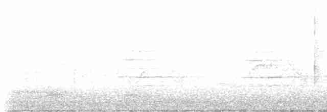 Sarı Karınlı Boreal Sinekkapan - ML619522628