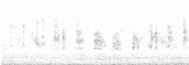 Берестянка бліда - ML619522662