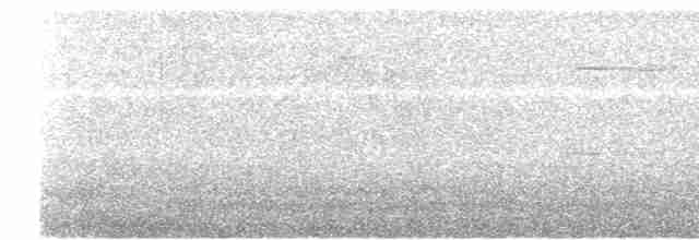Белохвостая индига - ML619522667