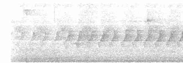 Black-eared Shrike-Babbler - ML619522675