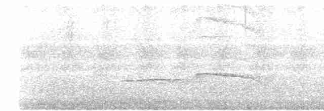 Малый желтохохлый дятел - ML619522687