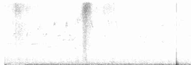 svarthetteparula - ML619522732