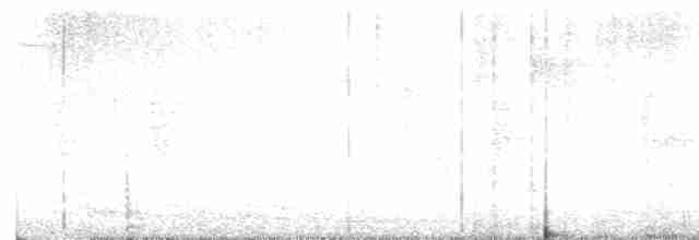 Paruline à poitrine baie - ML619522739