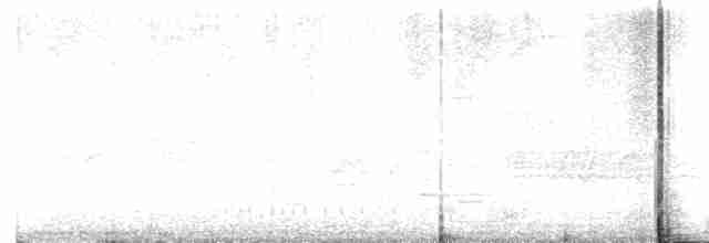 svartbrystparula - ML619522761