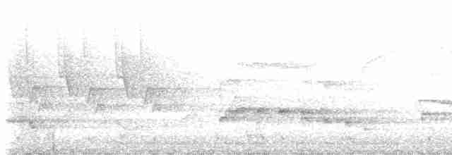 Белоголовый орлан - ML619522766