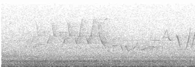 Голубокрылая червеедка - ML619522828