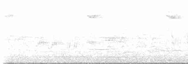 Çıtkuşu (indigenus) - ML619522839