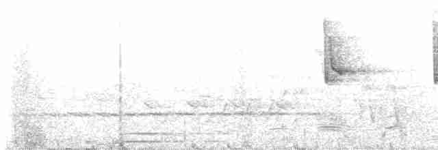 Соловьиная широкохвостка - ML619522962
