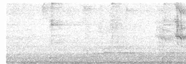 Тіріка бронзовоплечий - ML619523082