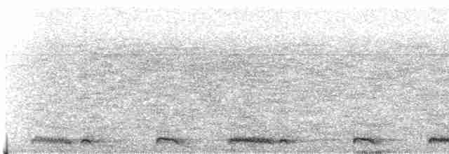 Halkalı Kap Kumrusu - ML619523202