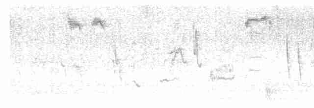 Кропив’янка чорноголова - ML619523208