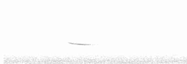 Дрозд-отшельник - ML619523285