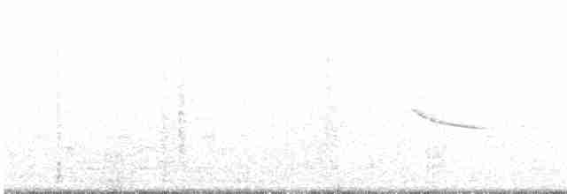 Troglodyte des marais - ML619523361