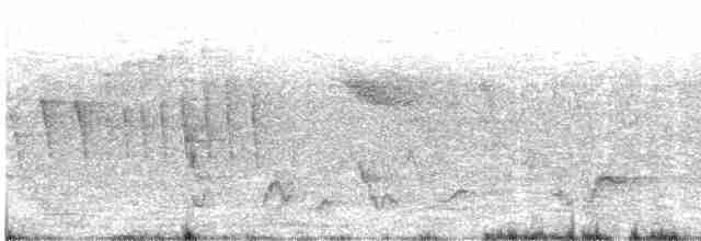 Gözlüklü Drongo Sinekkapanı - ML619523363