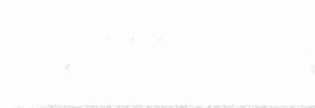 Great Reed Warbler - ML619523411