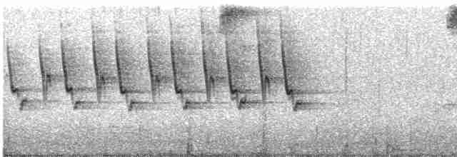 Дроздовый певун - ML619523507