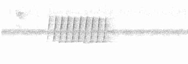 Светлобрюхая пеночка - ML619523585