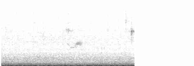 Kara Kanatlı Piranga - ML619523894