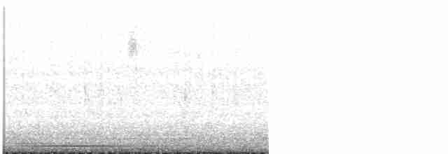 Common Yellowthroat - ML619523925