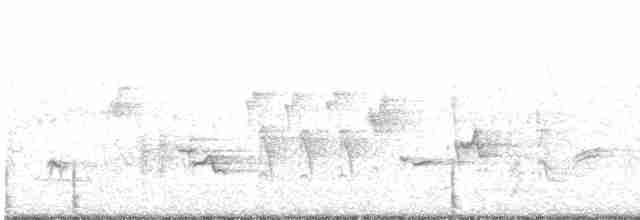 Oriole des vergers - ML619524129