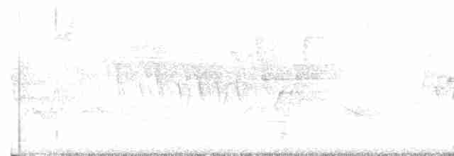 Черногорлая хвойница - ML619524564