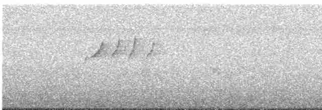 Тиран-карлик амазонійський - ML619524735