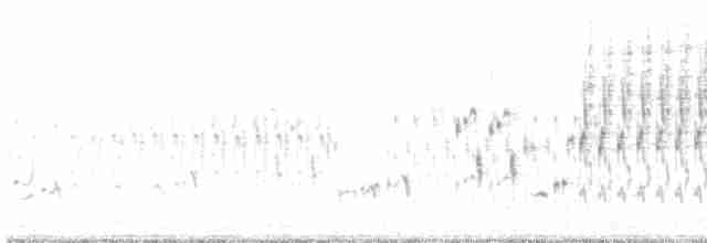 Troglodyte des marais - ML619524794
