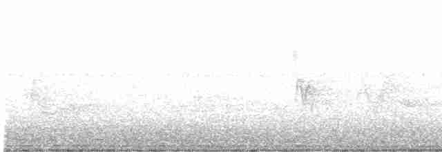 svartbrystparula - ML619525229