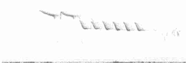 Amilotx urdina - ML619525234