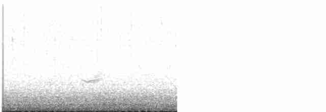 Дрізд-короткодзьоб бурий - ML619525468