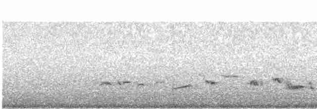 Cuitlacoche de las Artemisas - ML619525553