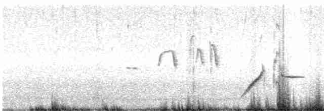 Batılı Tarlasığırcığı - ML619525634