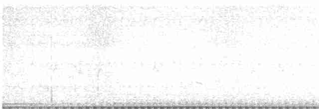 Batılı Tarlasığırcığı - ML619525708