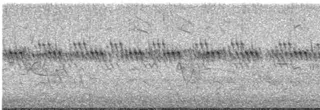 Çekirge Sesli Çayır Serçesi - ML619526095