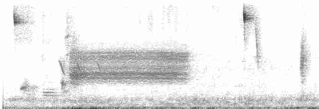 Sperlingsvogel, unbestimmt - ML619526107